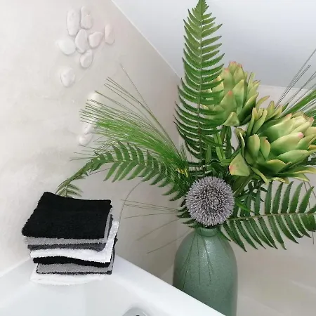 Kleines Vollklimatisiertes Nähe Stadtpark Apartment Baden-Baden